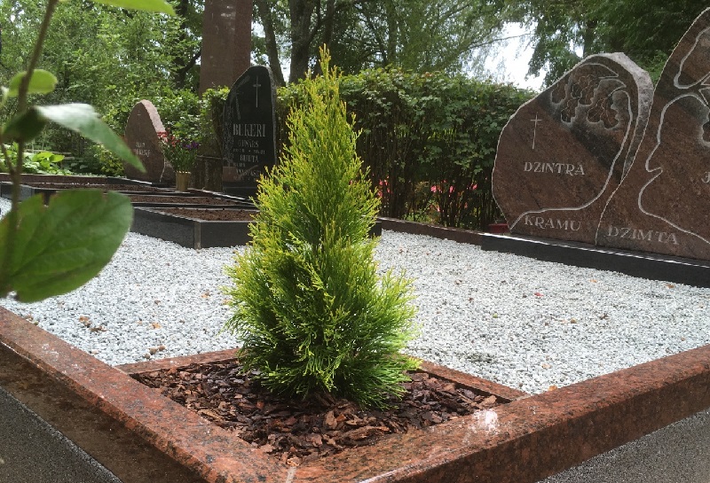Baum auf dem Friedhof: Regeln für Pflanzung, Pflege und Entfernung