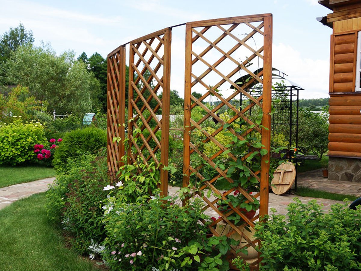 Gitter für Kletterpflanzen in der Gartenarchitektur