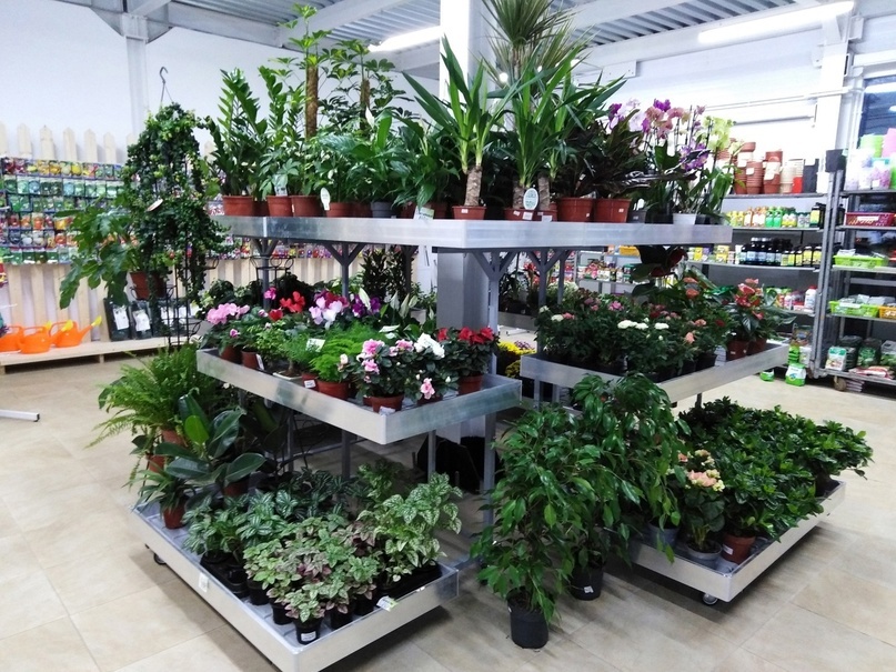 Was bietet das Gartencenter in St. Petersburg