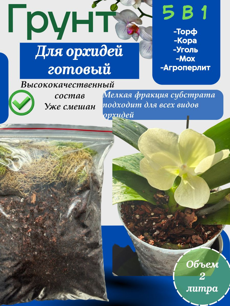 Wie sollte das Substrat für Orchideen sein?