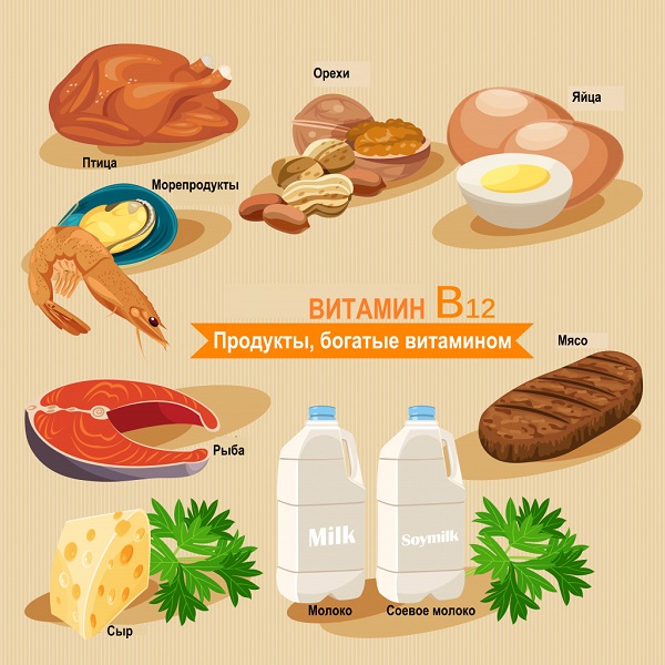 In welchen Lebensmitteln ist Vitamin B12 enthalten?