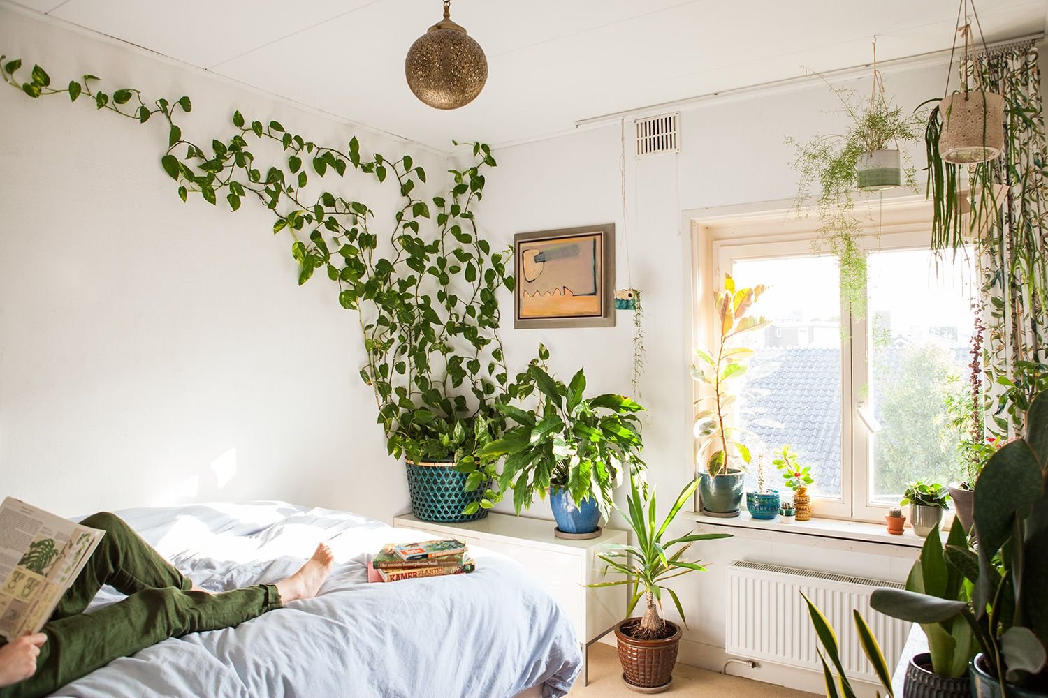 Welche Pflanzen sind im Schlafzimmer am besten?