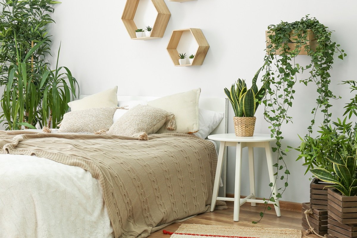 Welche Pflanzen eignen sich am besten für das Schlafzimmer?