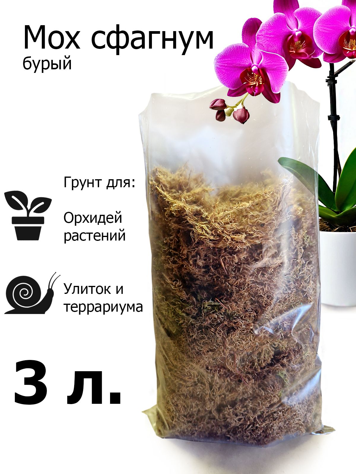 Welches Substrat ist das beste für Orchideen?