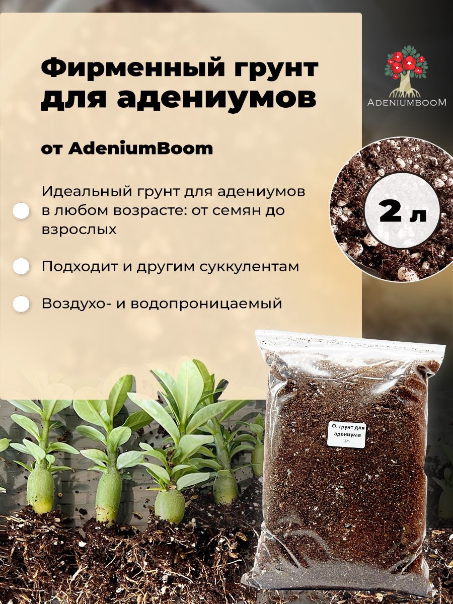 Welche Erde braucht Adenium?