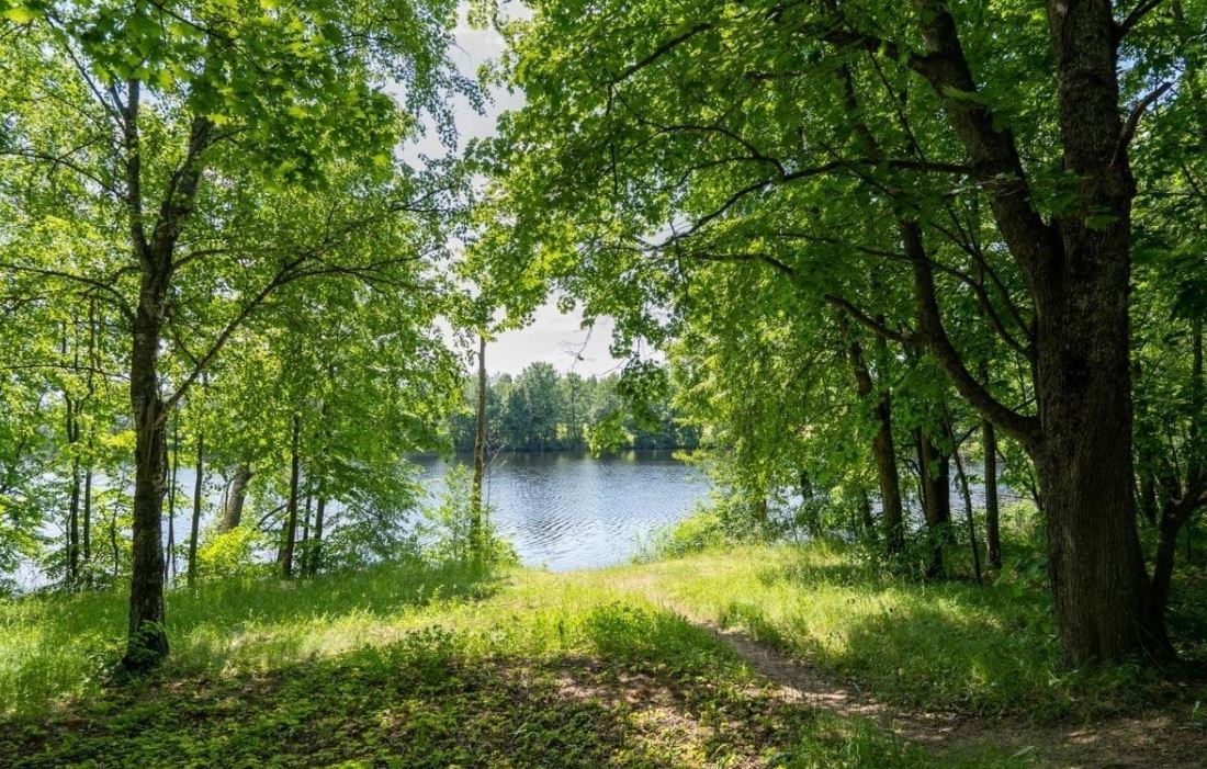 Warum Grundstücke am Wasser so beliebt sind